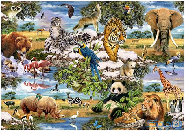 شگفتی‌ها و جذابیت‌های حیوانات: تنوع، رفتار، حفظ و اکوسیستم‌ ها