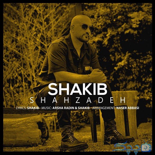 shakib-shahzade